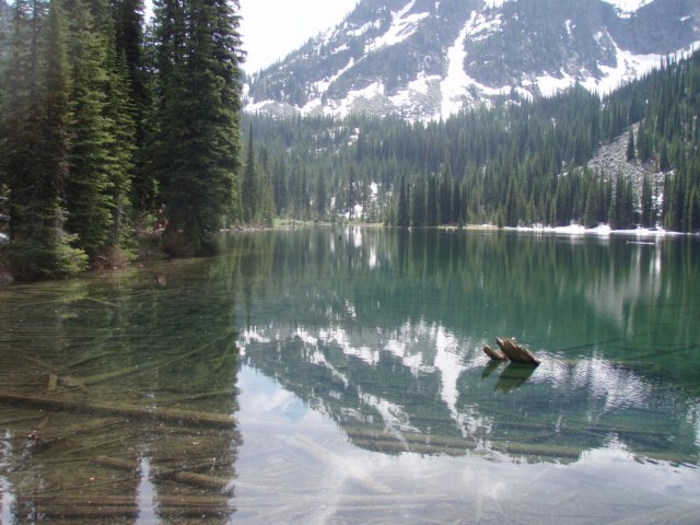 p7115797.jpg