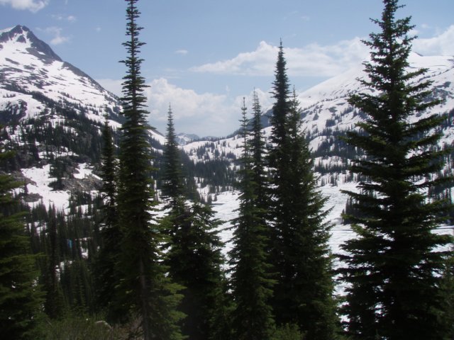 p7115802.jpg