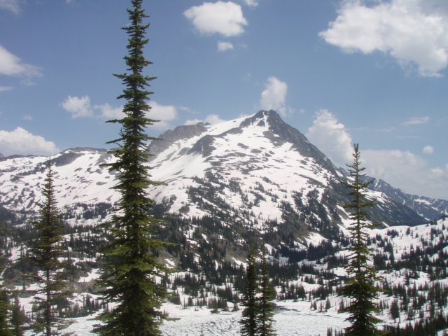 p7115805.jpg