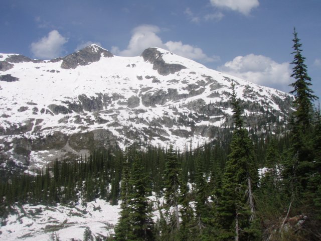 p7125837.jpg