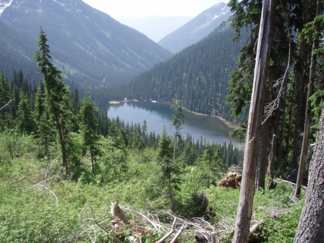p7125842.jpg