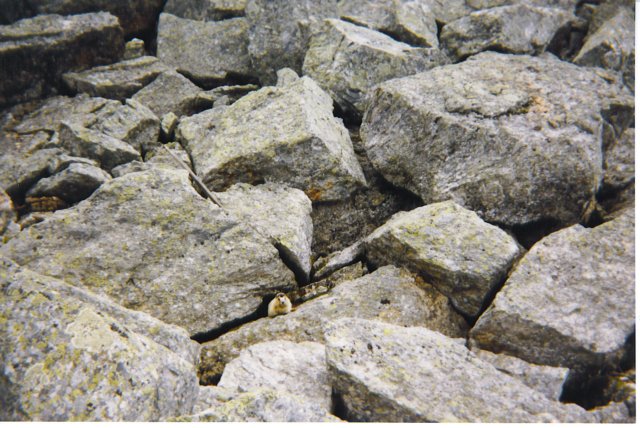 lakeohara1995012.jpg
