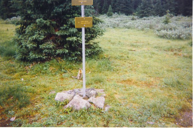 lakeohara1995017.jpg