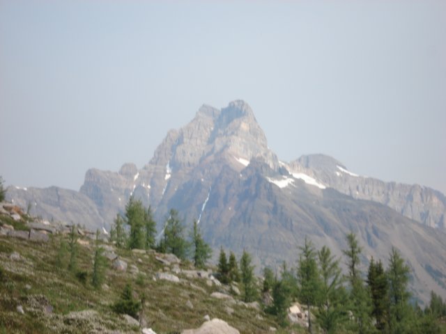 dsc00955.jpg