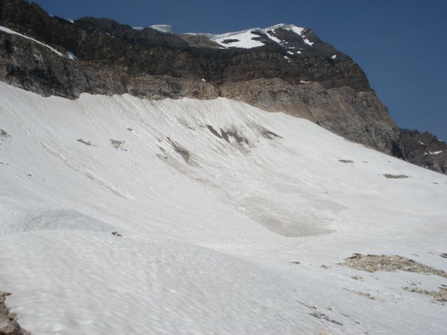 dsc00973.jpg