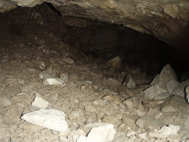 p8313204.jpg
