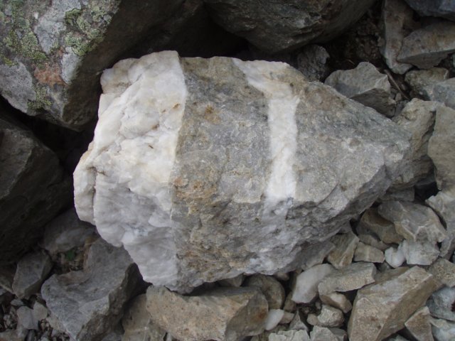 p8313222.jpg