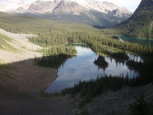 p9033269.jpg