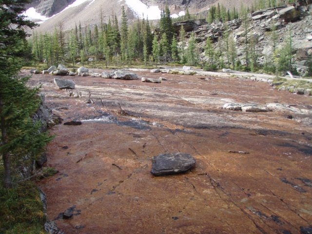 p9033275.jpg