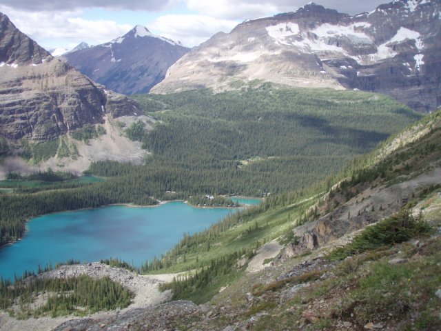 p8244108.jpg