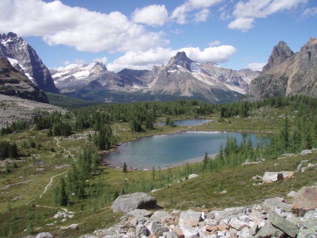 p8244122.jpg