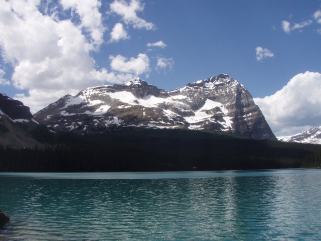 p7097632.jpg