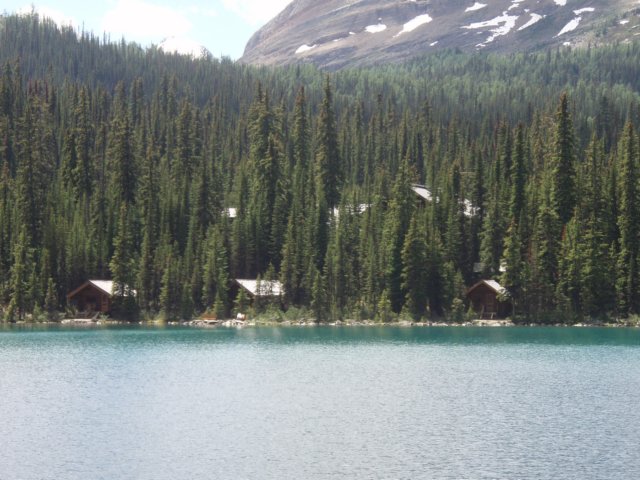 p7097638.jpg