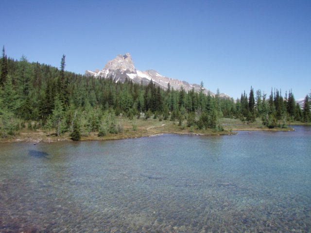 p7107647.jpg