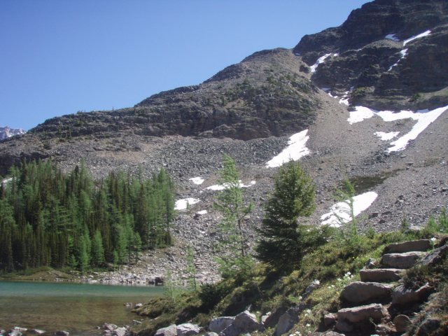 p7107649.jpg