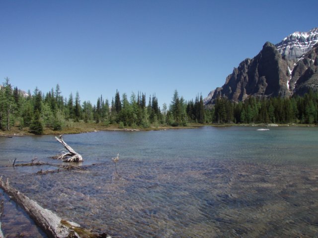 p7107650.jpg