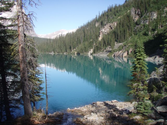 p7287726.jpg