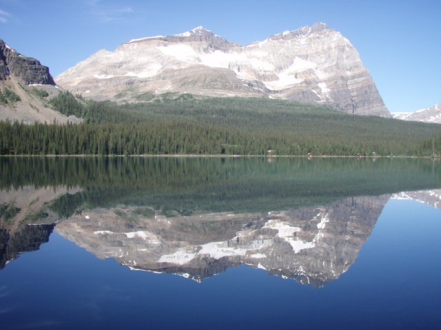p7287727.jpg
