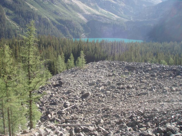 p7297732.jpg