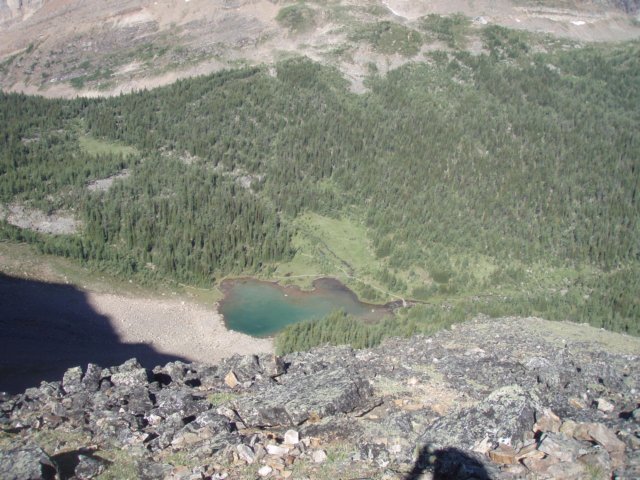 p7297734.jpg