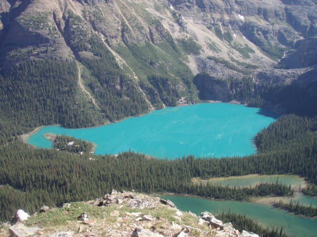 p7297737.jpg