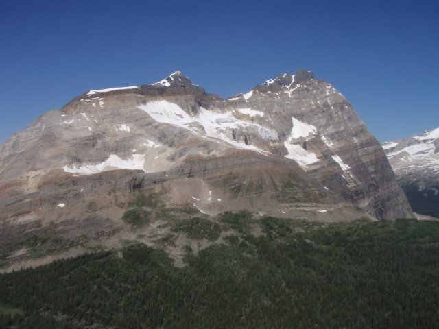 p7297740.jpg