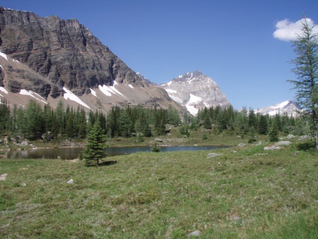 p7297744.jpg