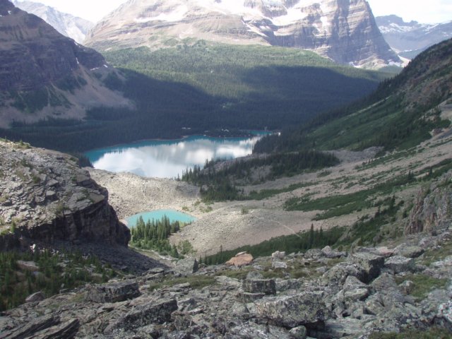 p7297757.jpg