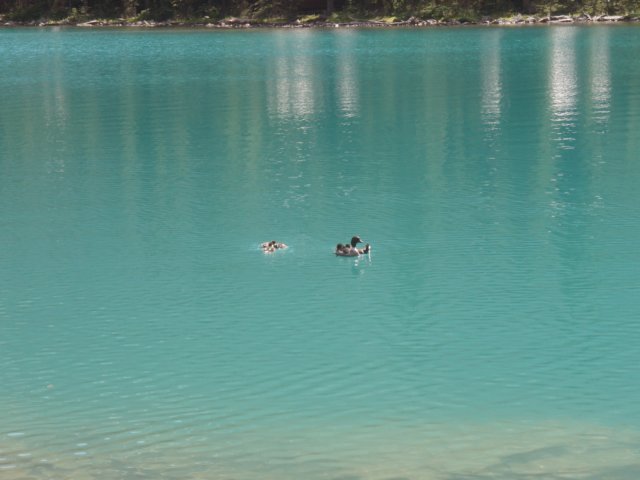 p7297761.jpg