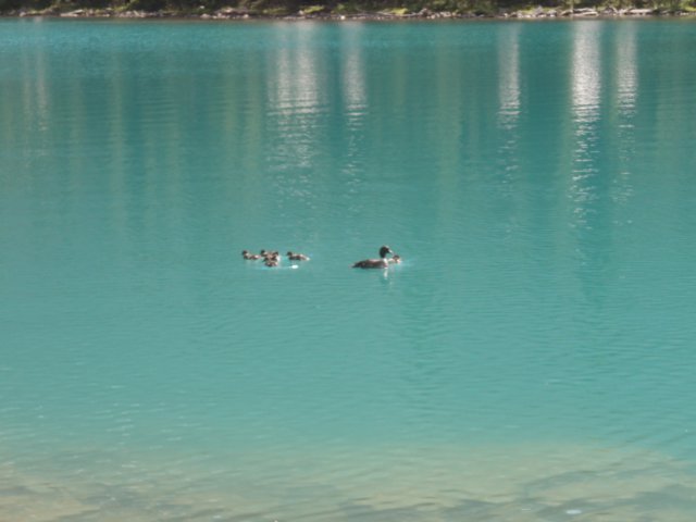p7297762.jpg