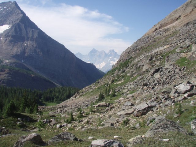 p7307766.jpg