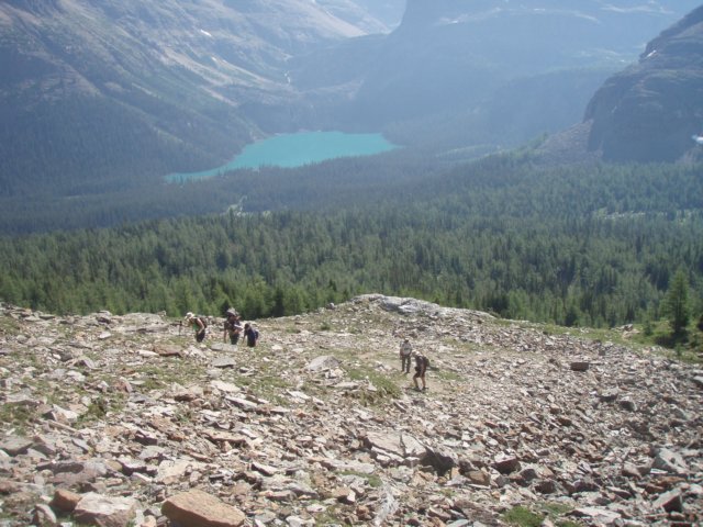 p7307768.jpg