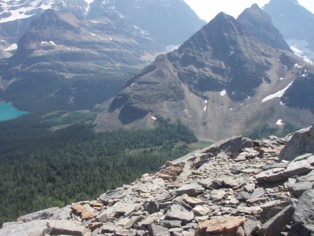 p7307779.jpg
