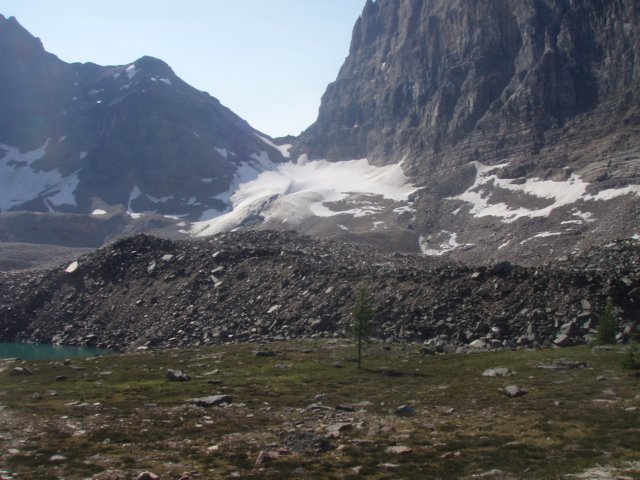 p7317788.jpg