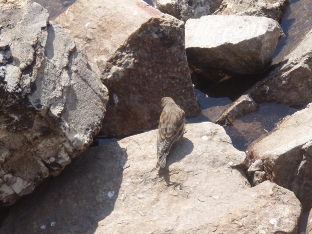 p7317794.jpg