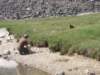 p7317796_small.jpg