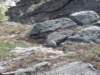 p7317809_small.jpg