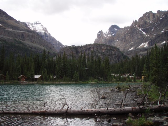 p7218538.jpg