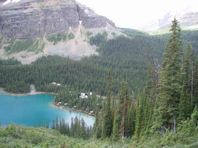 p7218541.jpg