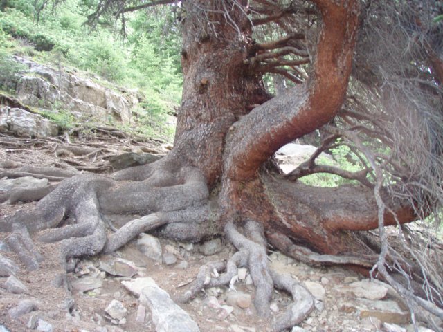 p7218544.jpg
