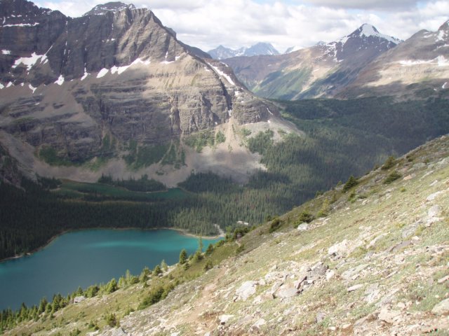p7218549.jpg