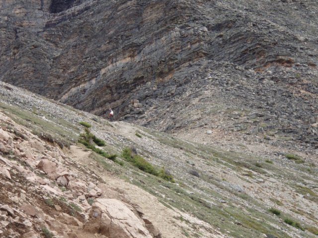 p7218551.jpg