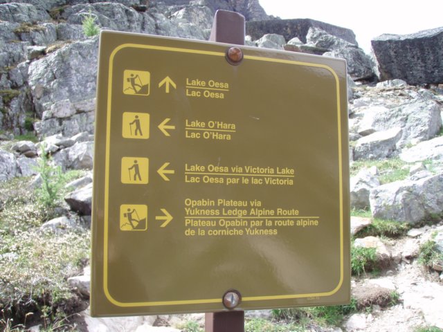 p7218575.jpg