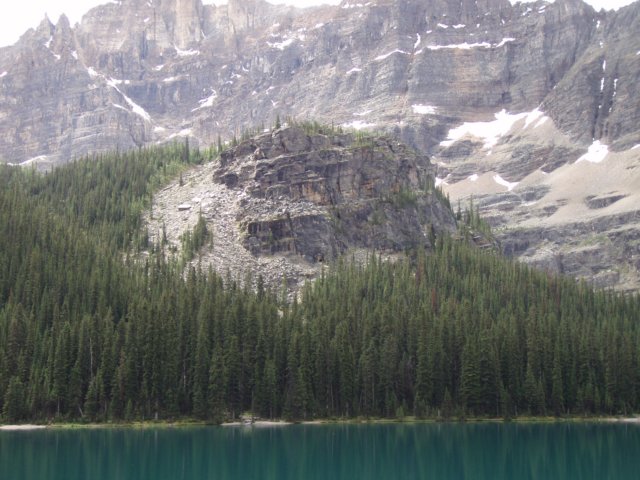 p7228614.jpg