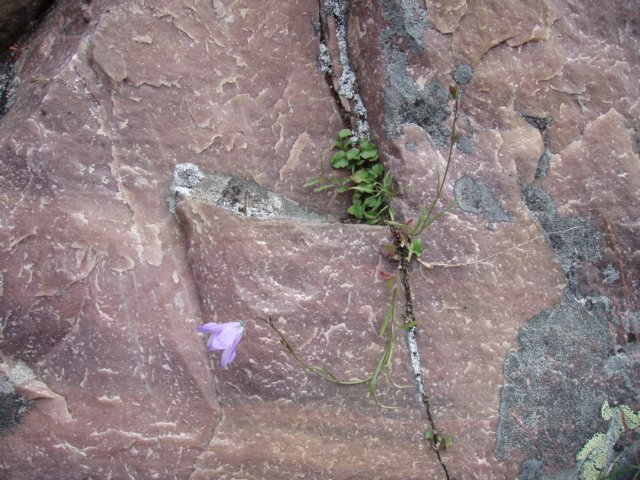 p7228616.jpg