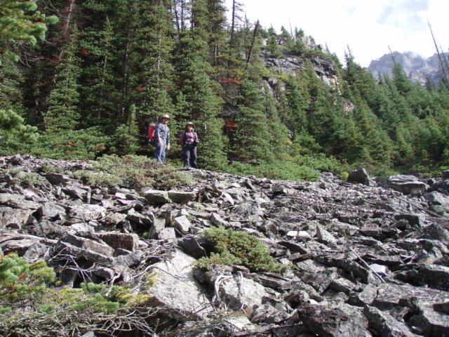 p8098625.jpg