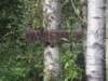 p8270548_small.jpg