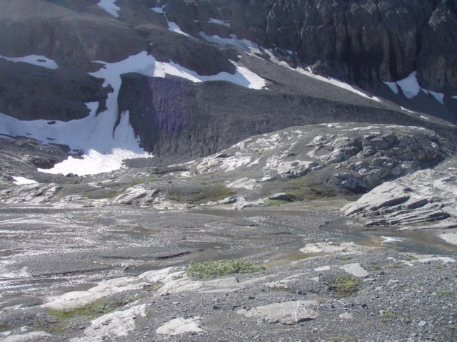 p8083986.jpg