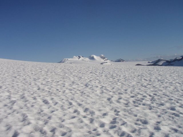 p8093994.jpg