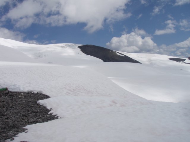 p8134036.jpg